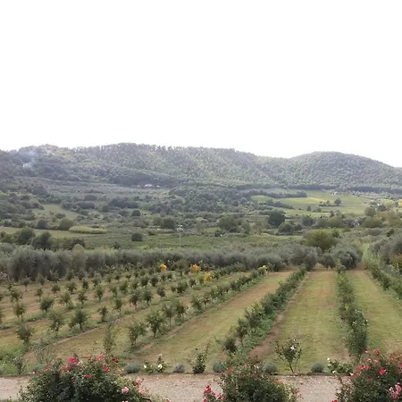 Immersa Nella Valle Di *