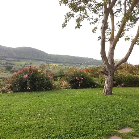 Immersa Nella Valle Di Villa Montefiascone