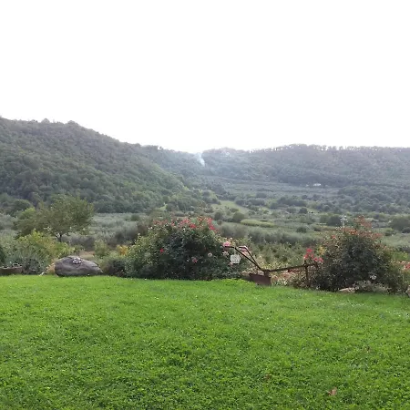 Immersa Nella Valle Di * Montefiascone